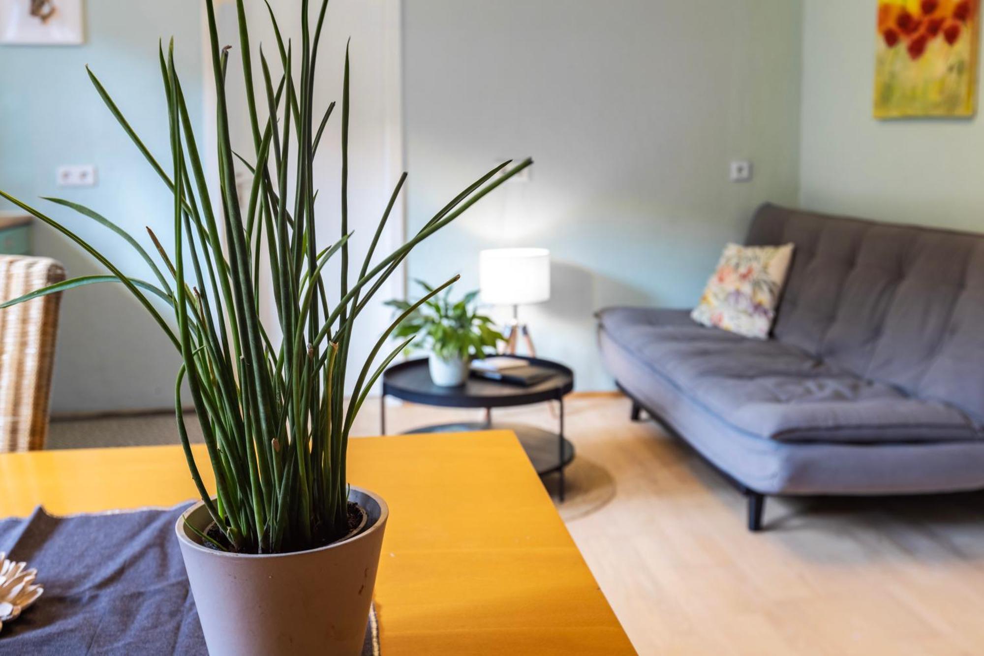 Ferienwohnung Karker 1 Radolfzell am Bodensee Luaran gambar